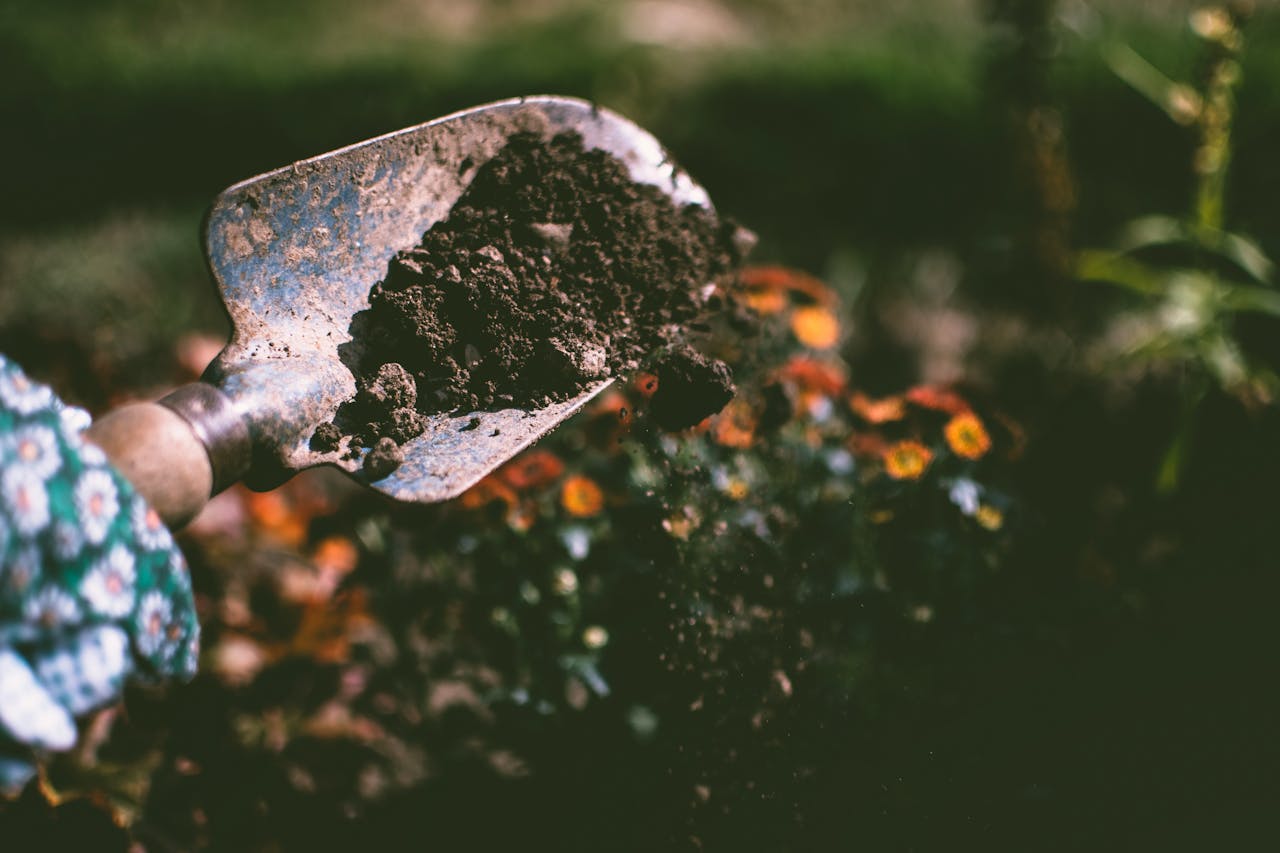 why-choose-us Close-up of a gardening shovel with soil, surrounded by vibrant blooms in an outdoor garden setting.